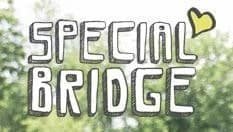 special bridge-min