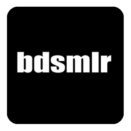 2. BDSMLR